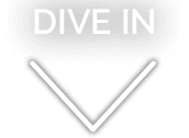 dive in